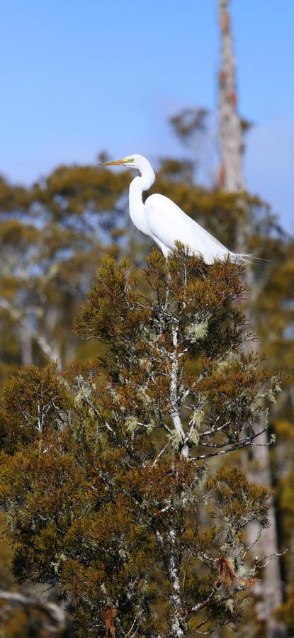 Scenic Waterways Retreat Bed & Breakfast Hokitika Eksteriør bilde